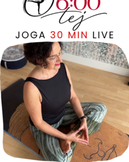 Joga o 6-tej